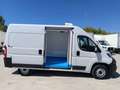 Fiat Ducato Fg. 33 2.3Mjt L2 H2 120CV Blanco - thumbnail 4