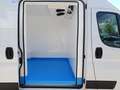 Fiat Ducato Fg. 33 2.3Mjt L2 H2 120CV Blanco - thumbnail 13