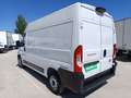 Fiat Ducato Fg. 33 2.3Mjt L2 H2 120CV Blanco - thumbnail 7