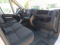 Fiat Ducato Fg. 33 2.3Mjt L2 H2 120CV Blanco - thumbnail 23