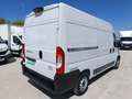 Fiat Ducato Fg. 33 2.3Mjt L2 H2 120CV Blanco - thumbnail 8