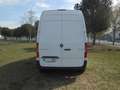 Mercedes-Benz Sprinter Furgón 311CDI Medio T.E Blanco - thumbnail 8