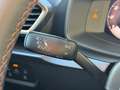 CUPRA Leon Sportstourer 2.0 TSI DSG 4Drive VZ AHK Navi Sennhe Beige - thumbnail 18
