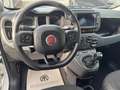 Fiat Panda Cross 1.0 FireFly S&S Hybrid Bianco - thumbnail 11