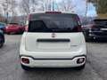 Fiat Panda Cross 1.0 FireFly S&S Hybrid Bianco - thumbnail 6