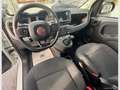 Fiat Panda Cross 1.0 FireFly S&S Hybrid Bianco - thumbnail 10