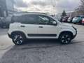Fiat Panda Cross 1.0 FireFly S&S Hybrid Bianco - thumbnail 4