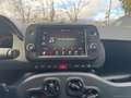 Fiat Panda Cross 1.0 FireFly S&S Hybrid Bianco - thumbnail 14