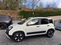 Fiat Panda Cross 1.0 FireFly S&S Hybrid Bianco - thumbnail 8