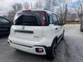 Fiat Panda Cross 1.0 FireFly S&S Hybrid Bianco - thumbnail 5