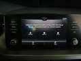 Skoda Kamiq Kamiq 2019 1.0 tsi Ambition 115cv Bianco - thumbnail 15