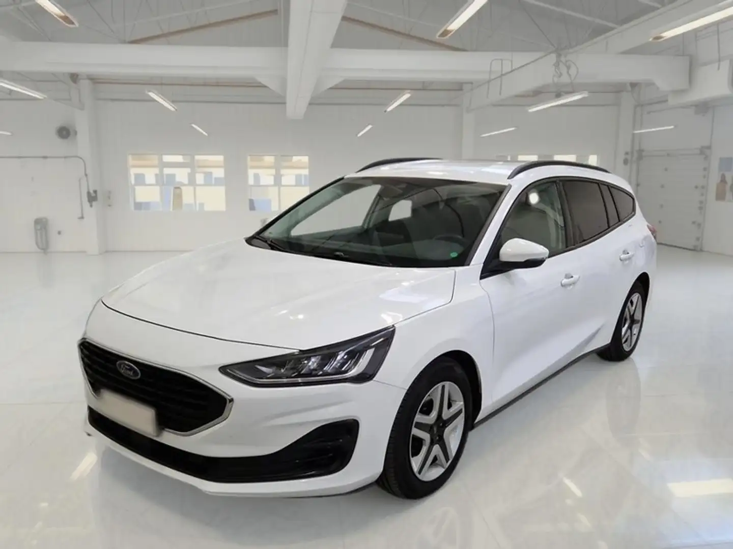 Ford Focus WAGON 1.5 Ecoblue 120cv Business Co-Pilot Auto - 1