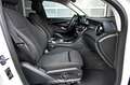 Mercedes-Benz GLC 220 GLC-Klasse GLC 220 d 4Matic AMG Pickerl NEU Weiß - thumbnail 14