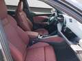 Audi SQ5 TFSI 270 kW S tronic Adapt. Luftfa Grau - thumbnail 4