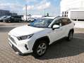 Toyota RAV 4 Hybrid 4x2 Team Deutschland LED*ACC*DAB Blanc - thumbnail 4