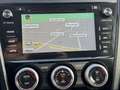 Subaru Forester 2.0 Premium Cruise control Climate control Pano Na Grey - thumbnail 10