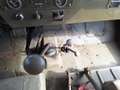 Autres Nekaf M38A1 Stoere auto / Geheel origineel / Keiha Vert - thumbnail 9