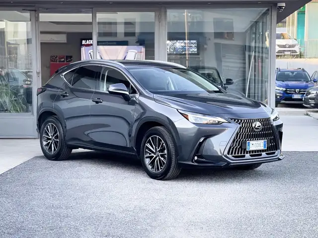 Lexus NX 300