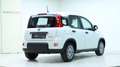 Fiat Panda 4x2 FireFly Hybrid 70 Weiß - thumbnail 8
