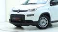 Fiat Panda 4x2 FireFly Hybrid 70 Weiß - thumbnail 2