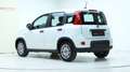 Fiat Panda 4x2 FireFly Hybrid 70 Weiß - thumbnail 4