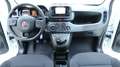 Fiat Panda 4x2 FireFly Hybrid 70 Weiß - thumbnail 16