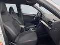 SEAT Tarraco 1.4 e-Hybrid DSG FR *LED*Pano*AHK*4x SHZ* Weiß - thumbnail 21