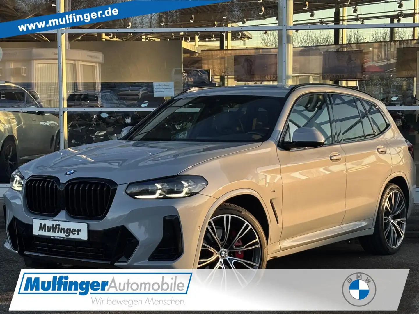 BMW X3 x20i M Sport Navi HiFi Kamera PanoDach 21" LED Grau - 1