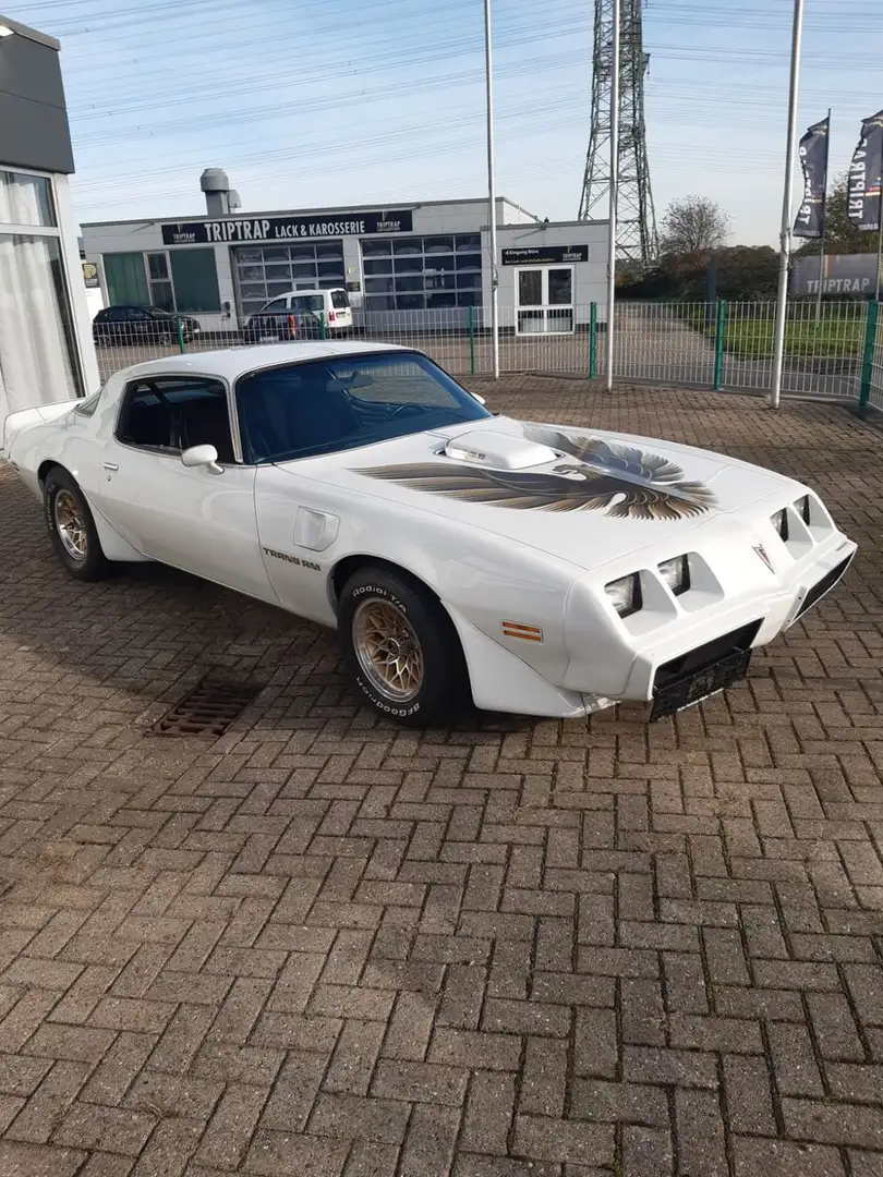 Pontiac Trans Am der Spitzenklasse 454 CUI TÜV und H-Zul Weiß - 1