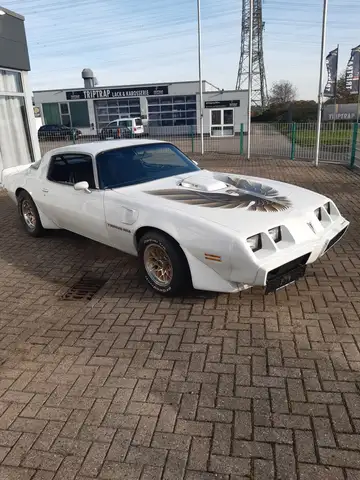 Pontiac Trans Am der Spitzenklasse 454 CUI TÜV und H-Zul