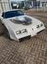 Pontiac Trans Am der Spitzenklasse 454 CUI TÜV und H-Zul Blanco - thumbnail 2