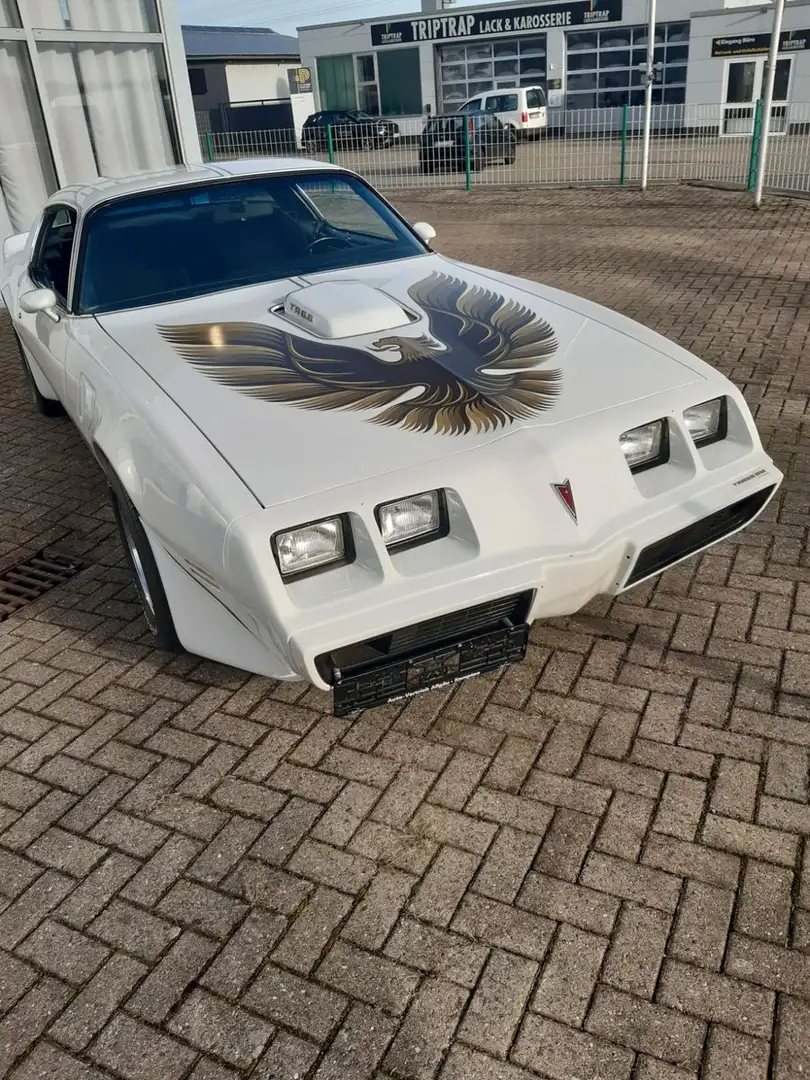Pontiac Trans Am der Spitzenklasse 454 CUI TÜV und H-Zul Weiß - 2