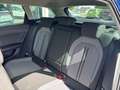 SEAT Leon LEON SPORTSTOURER ROAD EDITION 1.5 TSI AHK-VORB. Blau - thumbnail 11