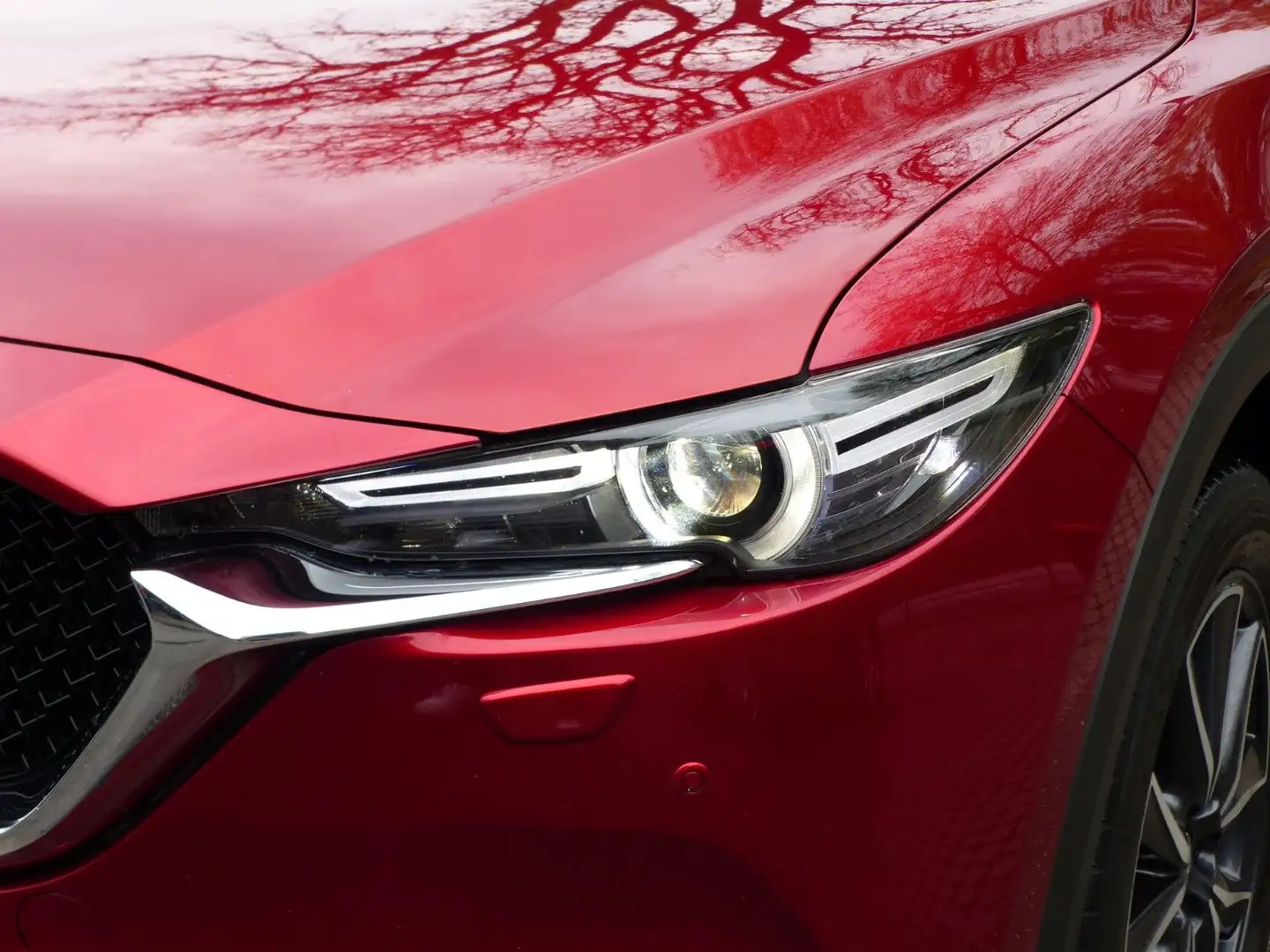 Mazda CX-5 Sports-Line AWD HeadUp SDach BOSE Kamera Rojo - 2