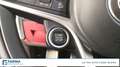 Alfa Romeo Stelvio 2.2 Turbo Executive Bianco - thumbnail 23