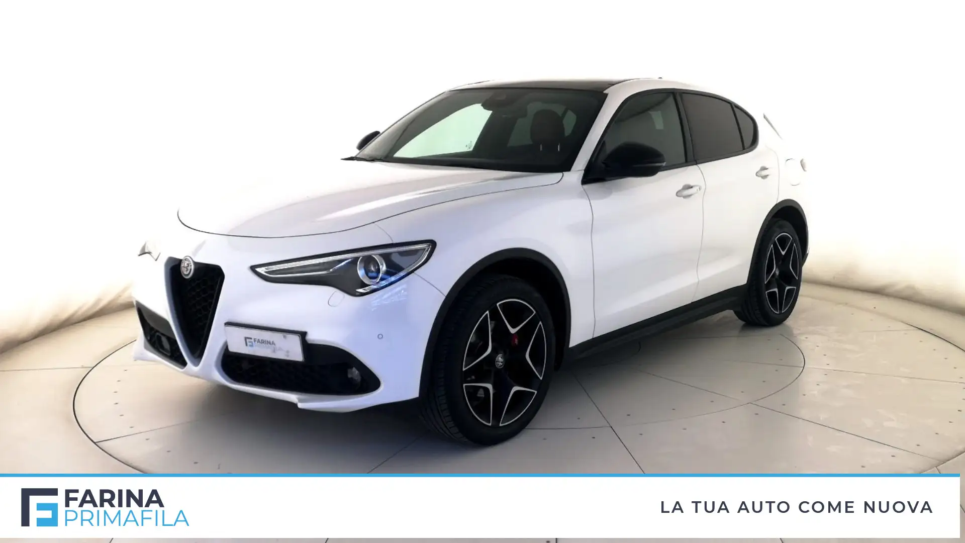 Alfa Romeo Stelvio 2.2 Turbo Executive Bianco - 1