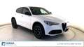 Alfa Romeo Stelvio 2.2 Turbo Executive Bianco - thumbnail 2