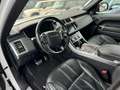 Land Rover Range Rover Sport HSE Dynamic V8 Blanc - thumbnail 11