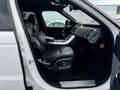 Land Rover Range Rover Sport HSE Dynamic V8 Blanc - thumbnail 13