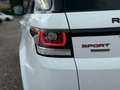 Land Rover Range Rover Sport HSE Dynamic V8 Blanc - thumbnail 5