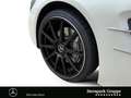 Mercedes-Benz SL 500 SL 500 AMG DESIGNO+Pano.+ABC+MASSAGE+Night+LED+ Blanco - thumbnail 26