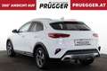 Kia XCeed 1.6 CRDI 48V Silber AUTOMATIK SERVICE NEU Weiß - thumbnail 6