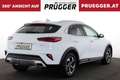 Kia XCeed 1.6 CRDI 48V Silber AUTOMATIK SERVICE NEU Weiß - thumbnail 4