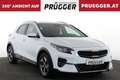 Kia XCeed 1.6 CRDI 48V Silber AUTOMATIK SERVICE NEU Weiß - thumbnail 3