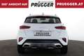 Kia XCeed 1.6 CRDI 48V Silber AUTOMATIK SERVICE NEU Weiß - thumbnail 5