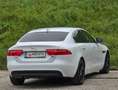 Jaguar XE Pure Top* Kredit* Navi* Tempomat* Gepflegt* PDC* Weiß - thumbnail 4