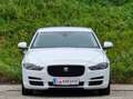 Jaguar XE Pure Top* Kredit* Navi* Tempomat* Gepflegt* PDC* Weiß - thumbnail 5
