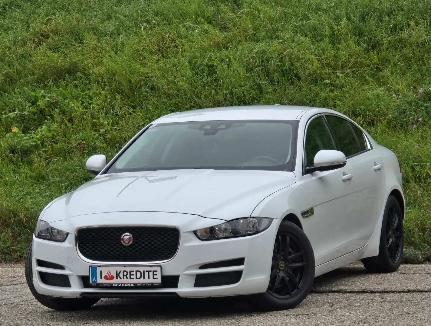 Jaguar XE Pure Top* Kredit* Navi* Tempomat* Gepflegt* PDC* Weiß - 1
