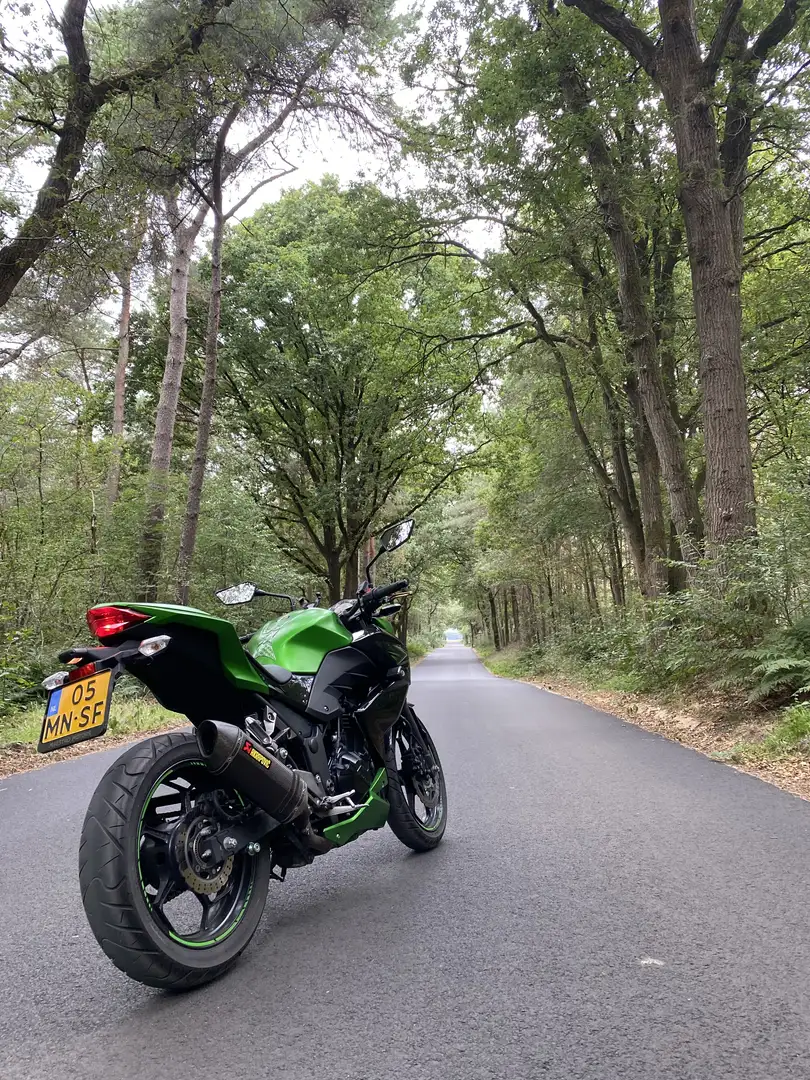 Kawasaki Z 300 ABS - 1
