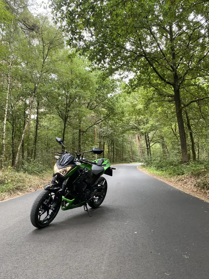 Kawasaki Z 300 ABS - 2